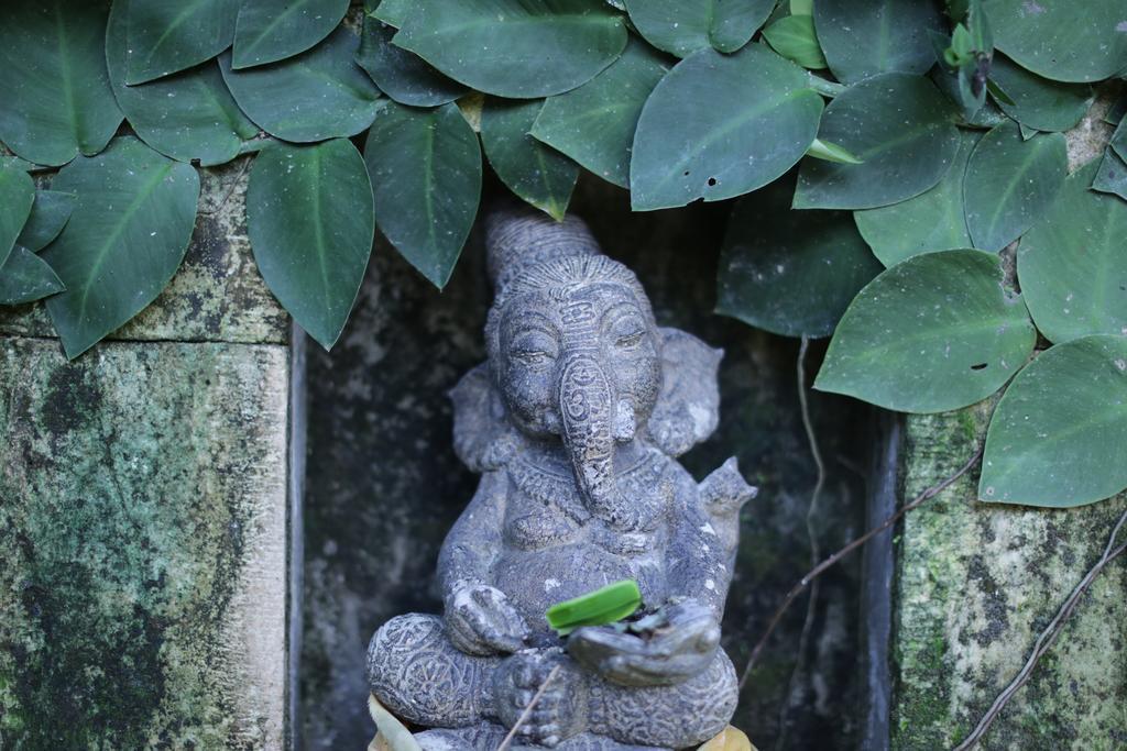 Karang Mesari Ubud Guest House Екстериор снимка