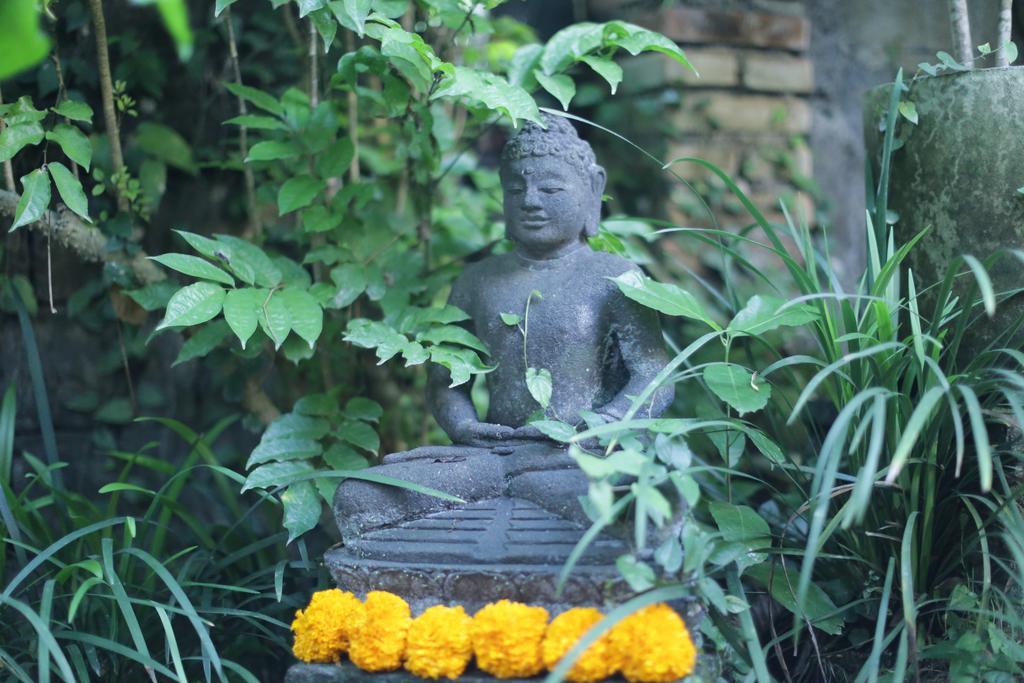 Karang Mesari Ubud Guest House Екстериор снимка