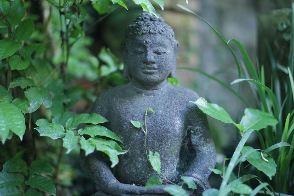 Karang Mesari Ubud Guest House Екстериор снимка