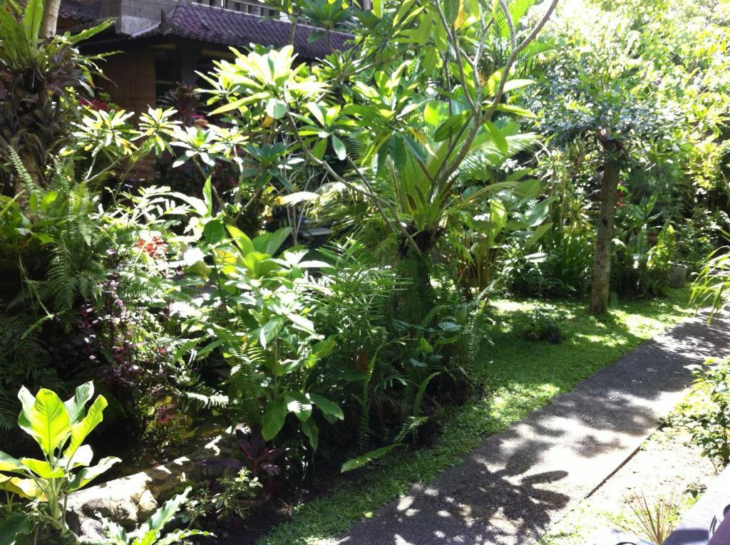 Karang Mesari Ubud Guest House Екстериор снимка