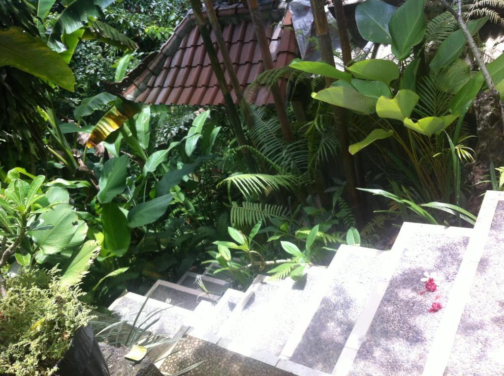 Karang Mesari Ubud Guest House Екстериор снимка