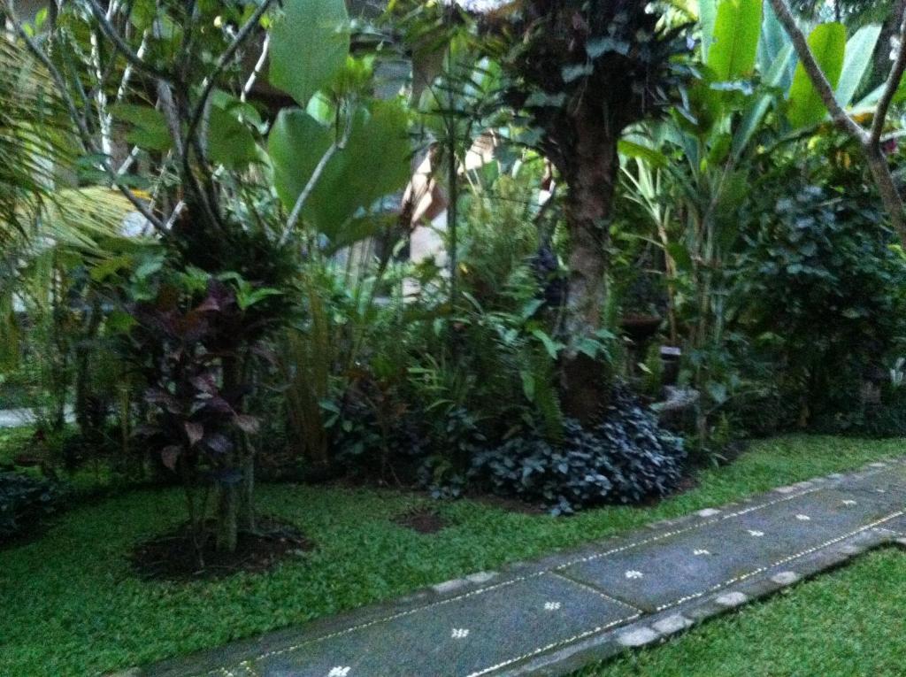 Karang Mesari Ubud Guest House Екстериор снимка