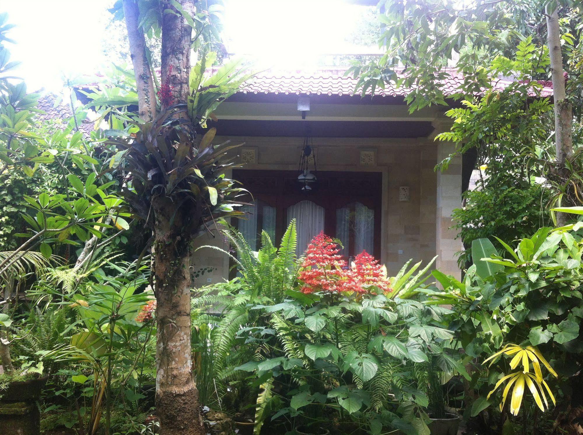 Karang Mesari Ubud Guest House Екстериор снимка
